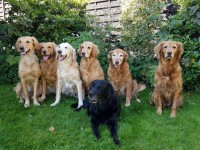 My Melodies Mit Gina